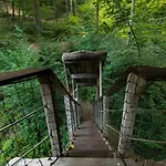 L'arbre A * Guyonvelle