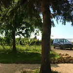 L'arbre A *