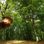 L'arbre A Εξοχικό σπίτι *