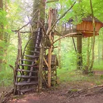 L'arbre A *