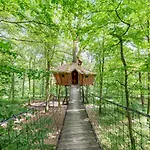 L'arbre A Guyonvelle