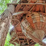 L'arbre A