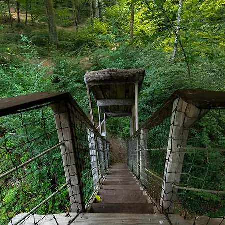 L'arbre A * Guyonvelle