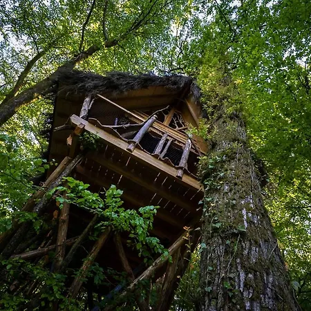 Country house L'arbre A Guyonvelle