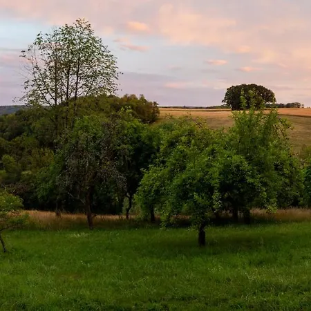 L'arbre A Guyonvelle
