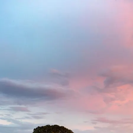 L'arbre A *