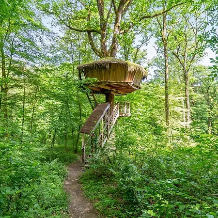 L'arbre A Guyonvelle