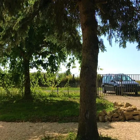 L'arbre A *