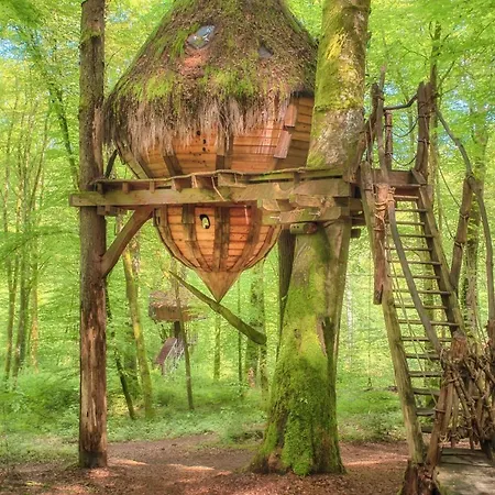 Country house L'arbre A