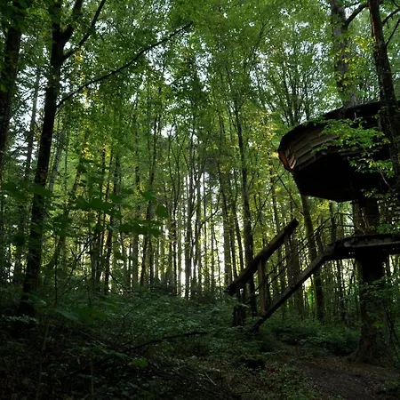 L'arbre A *