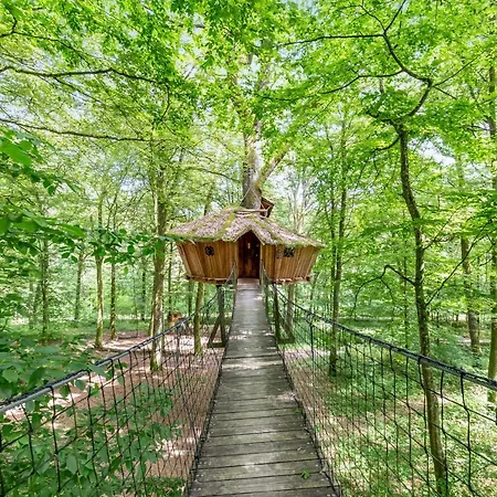 L'arbre A Guyonvelle