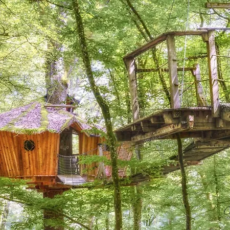 L'arbre A * Guyonvelle