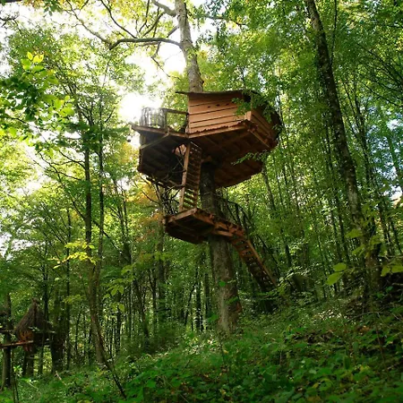 L'arbre A *