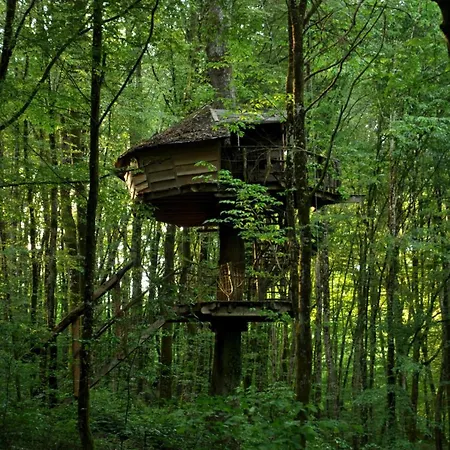 L'arbre A Country house Guyonvelle