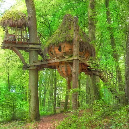 L'arbre A Kır Evi *